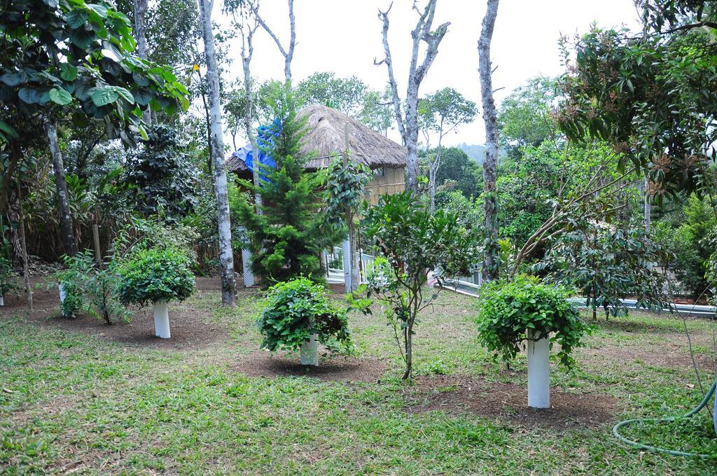 Green Ark Resorts Thekkady Exteriér fotografie